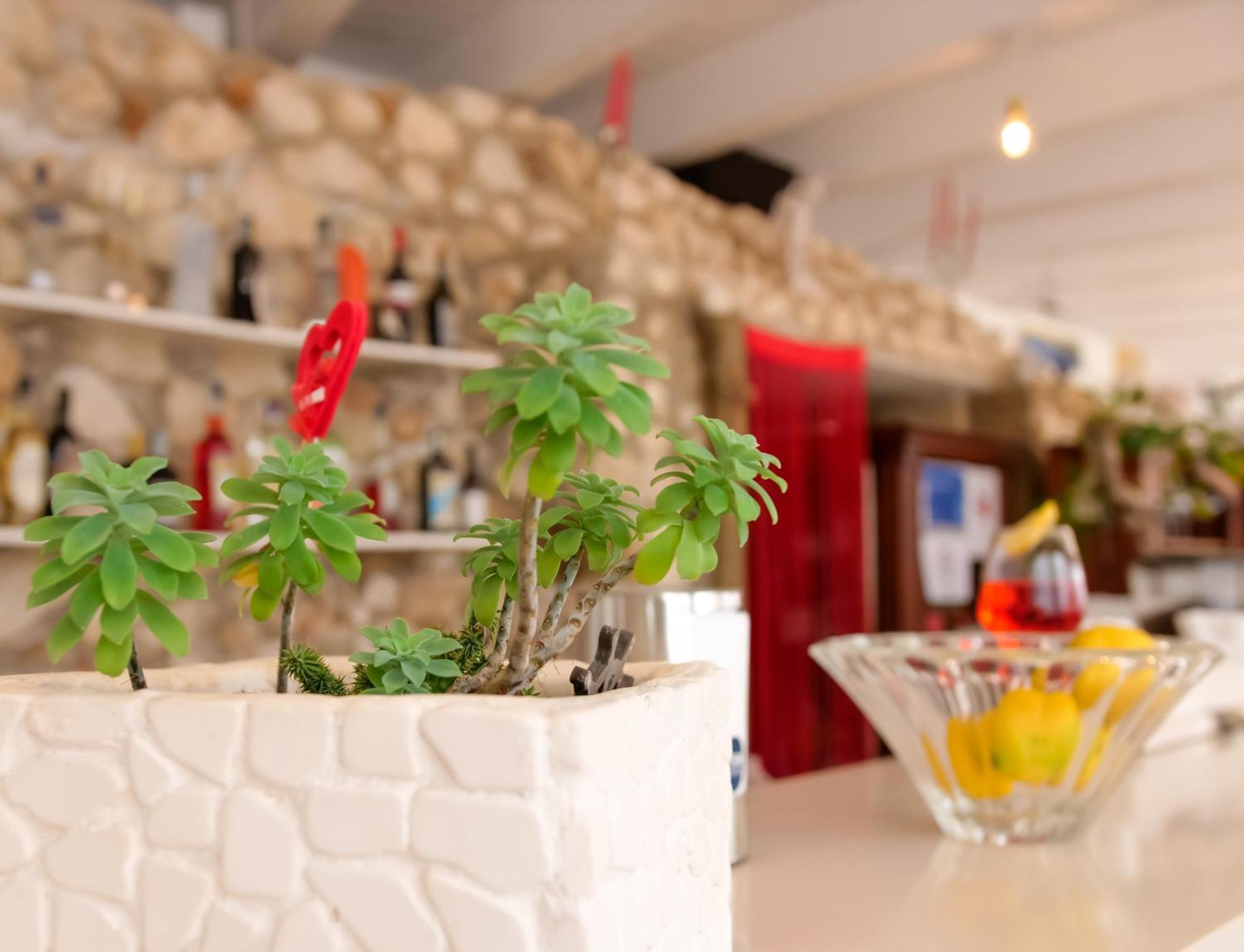 Max Luxury - Servizio Inclusa Bed and breakfast *