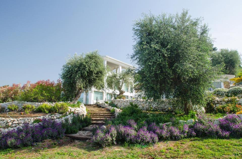 Bed and breakfast Max Luxury - Servizio Inclusa
